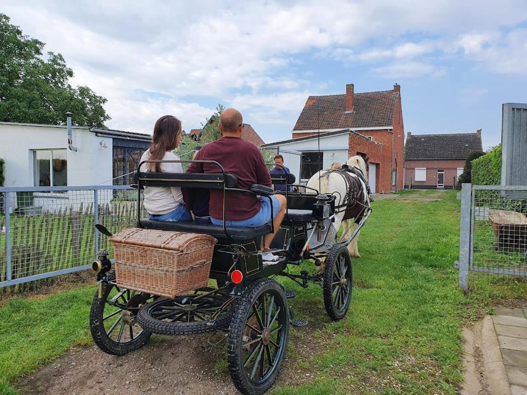 Houten Huisje Tussen Paarden Nieuwerkerken Exterior foto