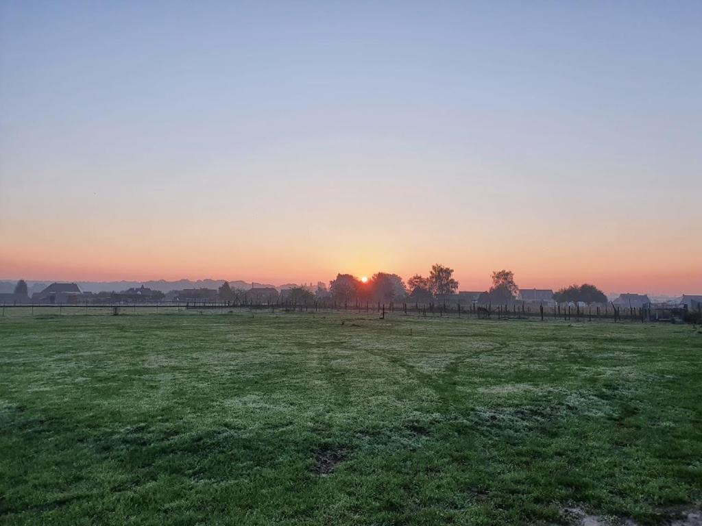 Houten Huisje Tussen Paarden Nieuwerkerken Exterior foto