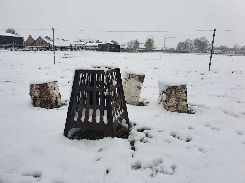 Houten Huisje Tussen Paarden Nieuwerkerken Exterior foto